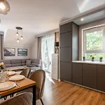 Apartamenty BlueSky - Nad Łomnicą 2B - blisko dworca PKP, centrum Karpacza i sklepów, w zielonej okolicy